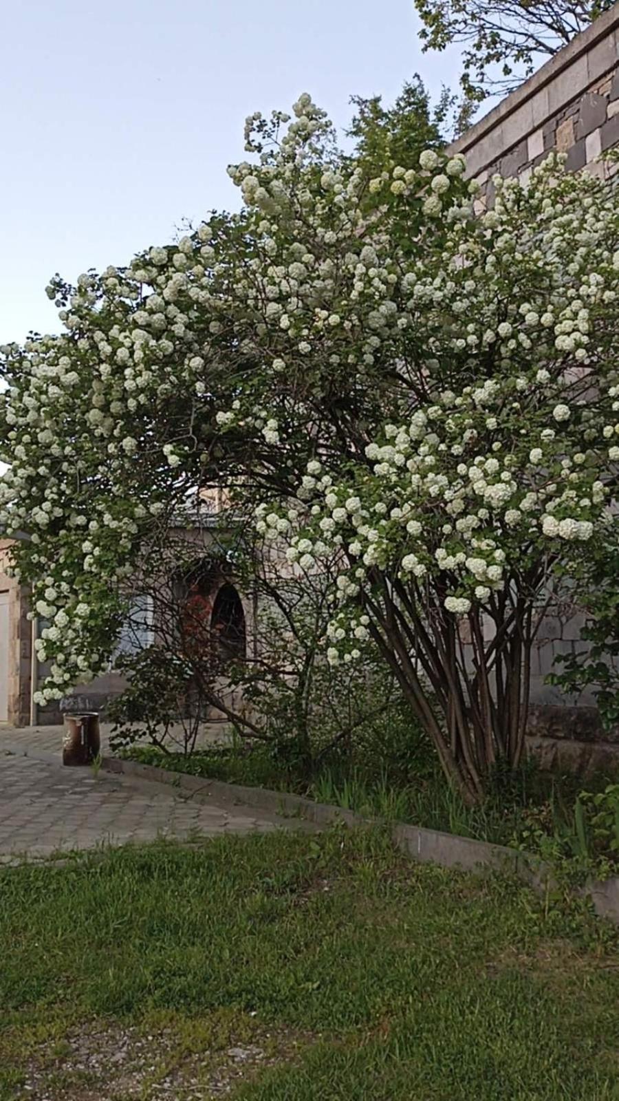 Luse Guest House Ijevan Dış mekan fotoğraf