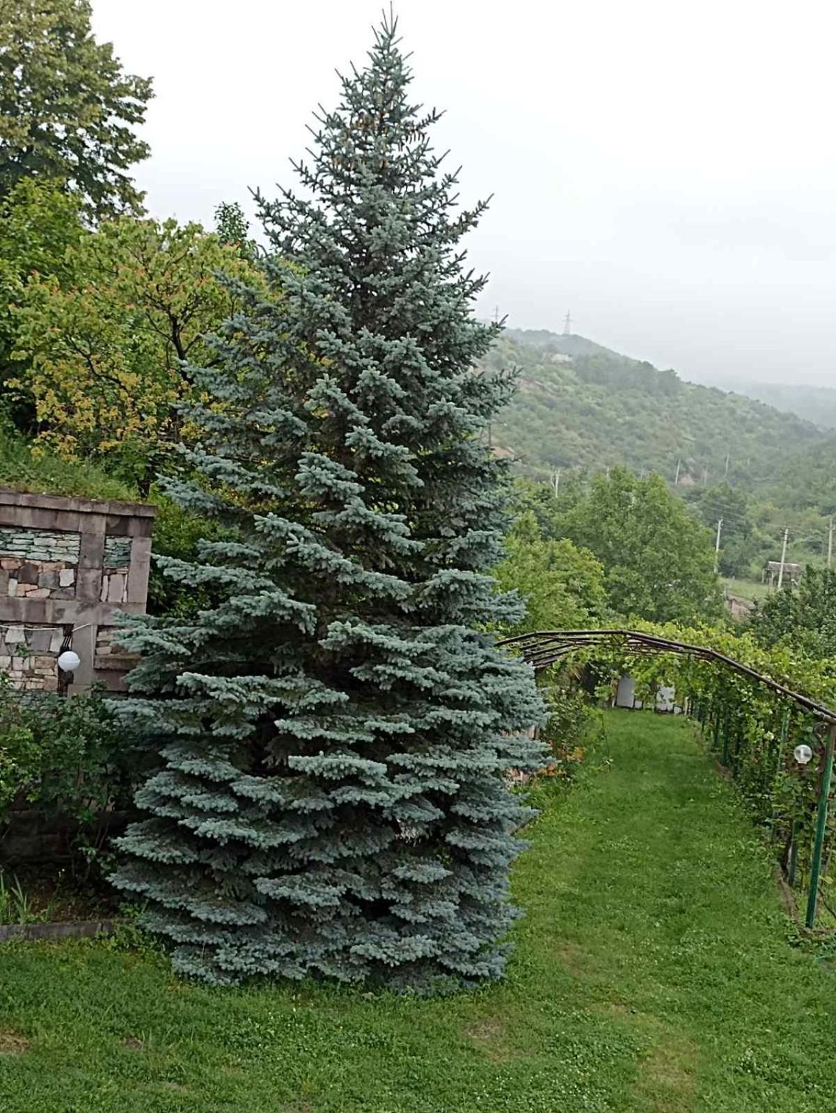 Luse Guest House Ijevan Dış mekan fotoğraf