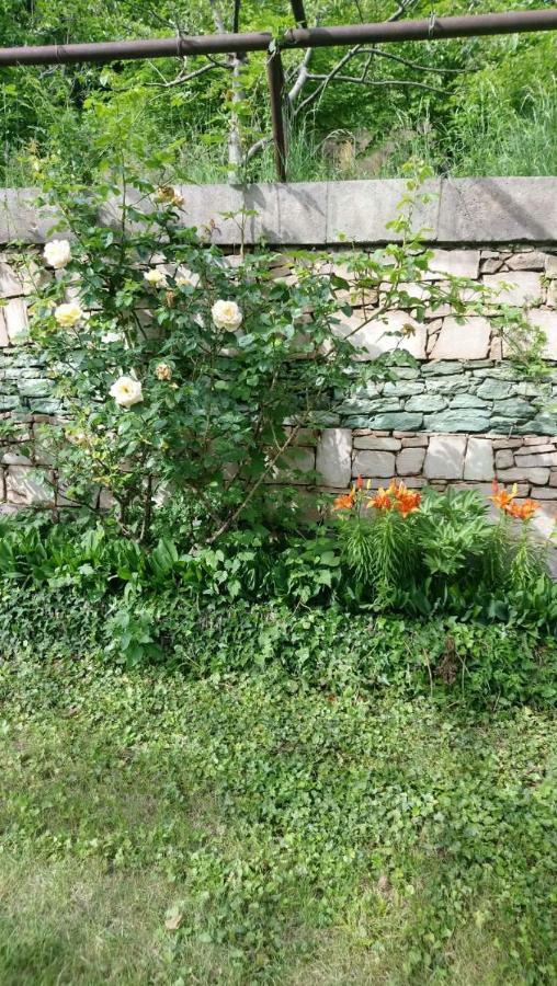 Luse Guest House Ijevan Dış mekan fotoğraf